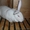 Кроликов Белый Великан #93882
