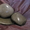 Натуральный камень для отделки и ландшафта - Изображение #8, Объявление #180151