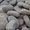 природный камень добыча и обработка. плитняки (кварциты, песчаники, известняки)  - Изображение #4, Объявление #289629