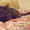 Шотландский кот страйт приглашает на вязку кошечек - Изображение #1, Объявление #546742