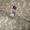 Сверление отверстий в бетоне Резка проёмов - Изображение #1, Объявление #552893