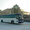 Автобусы от 11 до 43 мест на заказ #523793