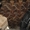 Гусеницы МТ-ЛБ широкие, МТЛБ РМШ, ГАЗ-71, ГТСМ, ГТ-Т из наличия - Изображение #2, Объявление #793926