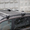 Багажник Lux на рйлинги - Изображение #2, Объявление #917508