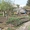 Продается отличный сад в СНТ "Янтарь" - Изображение #1, Объявление #1100377