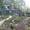 Продается отличный сад в СНТ "Янтарь" - Изображение #3, Объявление #1100377