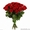 Доставка цветов в Челябинске и Копейске #1568476