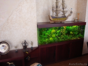 аквариумы, рыбы,живые и искуственные растения, декорация аквариумов - Изображение #2, Объявление #84821