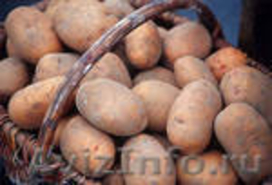 Доставка картошки Челябинск - Изображение #1, Объявление #127102