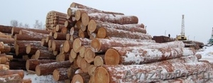 Продам лес кругляк(пиловочник) в г.Челябинск. - Изображение #1, Объявление #217658