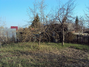 Продается сад в СНК "Березка-1", оз.Курочкино - Изображение #4, Объявление #255579
