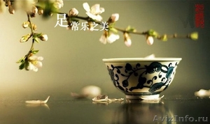 Качественный Китайский чай. - Изображение #1, Объявление #373632