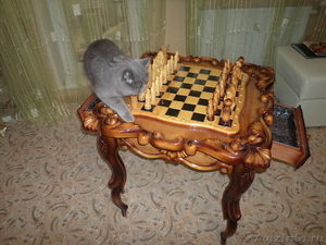 стол шахматный с фигурами резной из дерева - Изображение #2, Объявление #726358