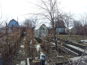 Продам Сад в СНТ "ИСКРА" - Изображение #3, Объявление #331962