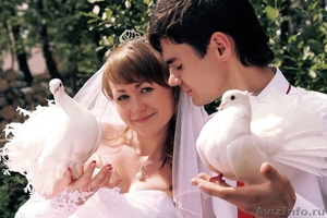 Запуск белых голубей на свадьбах и торжествах - Изображение #1, Объявление #959127