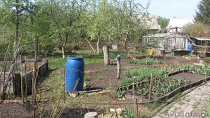 Продается отличный сад в СНТ "Янтарь" - Изображение #1, Объявление #1100377