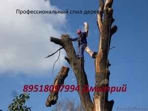 Спил деревьев в Челябинске любой сложности - Изображение #1, Объявление #1111979