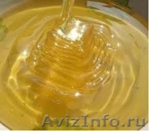 Мед башкирский липовый  от производителя - Изображение #1, Объявление #1302362
